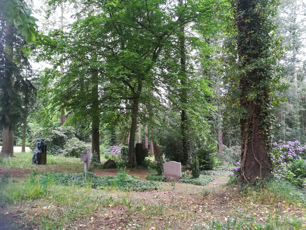 Naturnahe Bestattung - Grabstellen inmitten von Bäumen