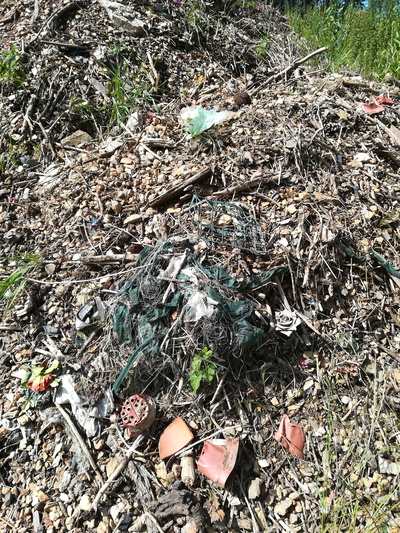 Müllsreste auf Friedhof