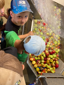 Pfadfinder Apfellese03 225x300